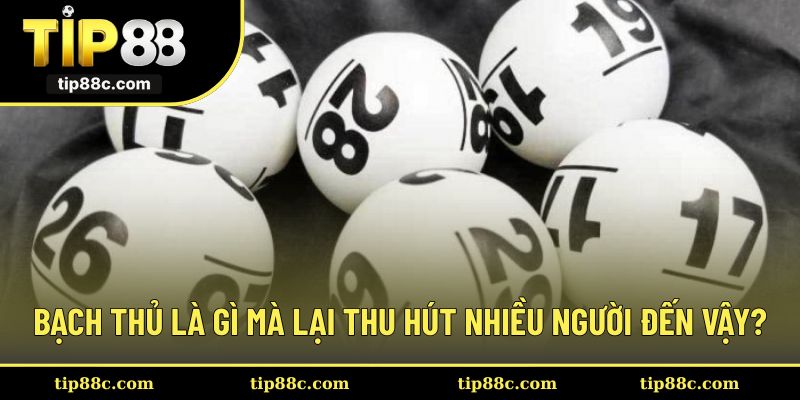 Bạch thủ là gì mà lại thu hút nhiều người đến vậy?