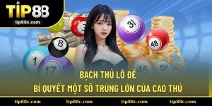 Bạch Thủ Lô Đề - Bí Quyết Một Số Trúng Lớn Của Cao Thủ