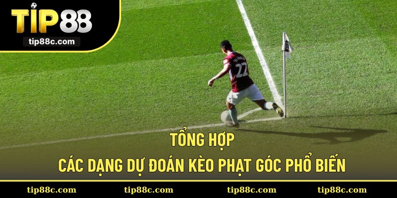 Tổng hợp các dạng dự đoán kèo phạt góc phổ biến