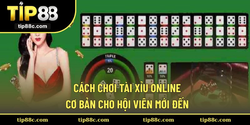 Cách chơi tài xỉu online cơ bản cho hội viên mới đến
