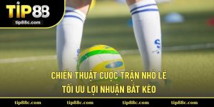 Chiến Thuật Cược Trận Nhỏ Lẻ, Tối Ưu Lợi Nhuận Bắt Kèo