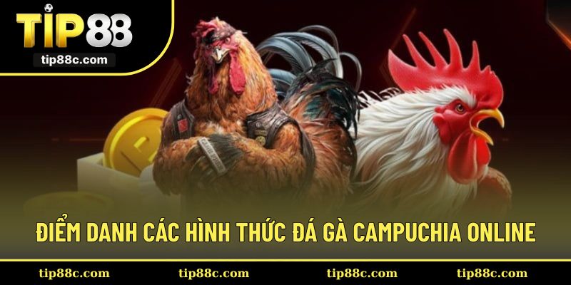 Một số hình thức đá gà Campuchia online thú vị