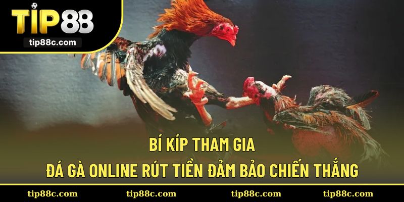 Thành viên tìm hiểu những bí kíp chắc chắn thắng