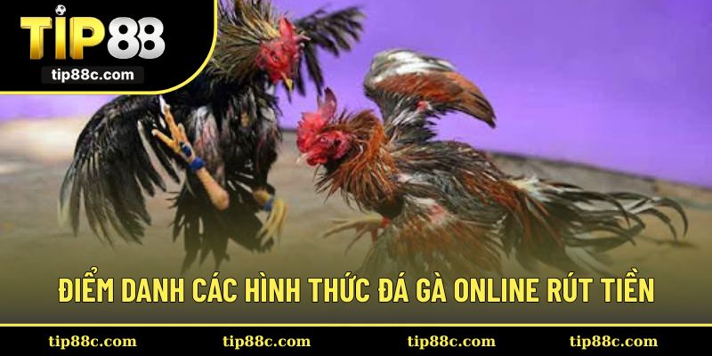 Một số hình thức đá gà Campuchia online thú vị
