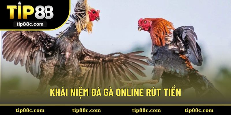 Khái niệm cơ bản về đá gà online rút tiền