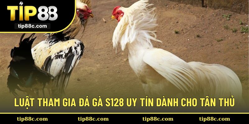 Thành viên tìm hiểu chi tiết luật chơi