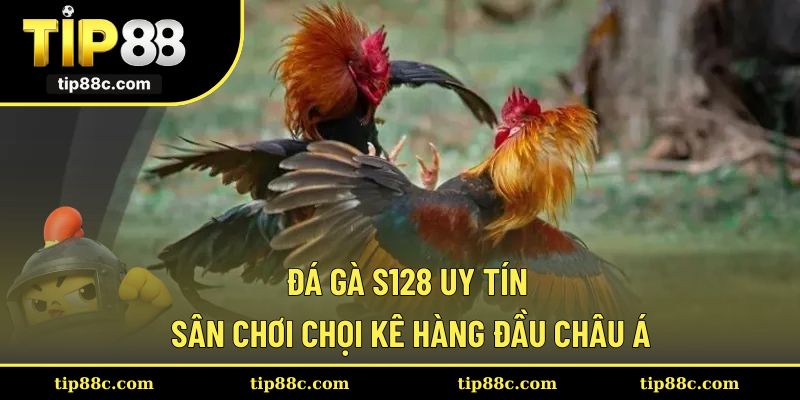 Đá Gà S128 Uy Tín - Sân Chơi Chọi Kê Hàng Đầu Châu Á