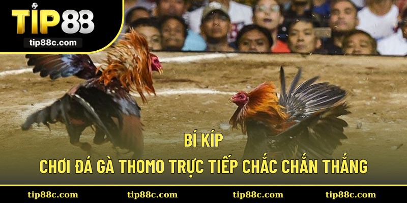 Khách hàng tận dụng các bí kíp tham gia từ cao thủ
