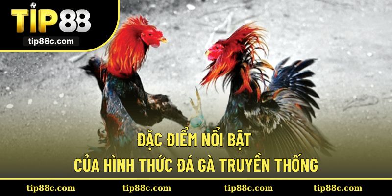 Một số đặc điểm thú vị của hình thức truyền thống