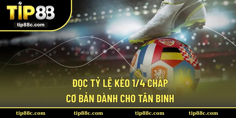 Đọc tỷ lệ kèo 1/4 chấp cơ bản dành cho tân binh
