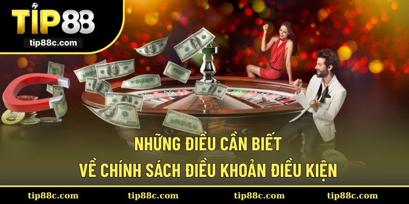 Những điều cần biết về chính sách điều khoản điều kiện