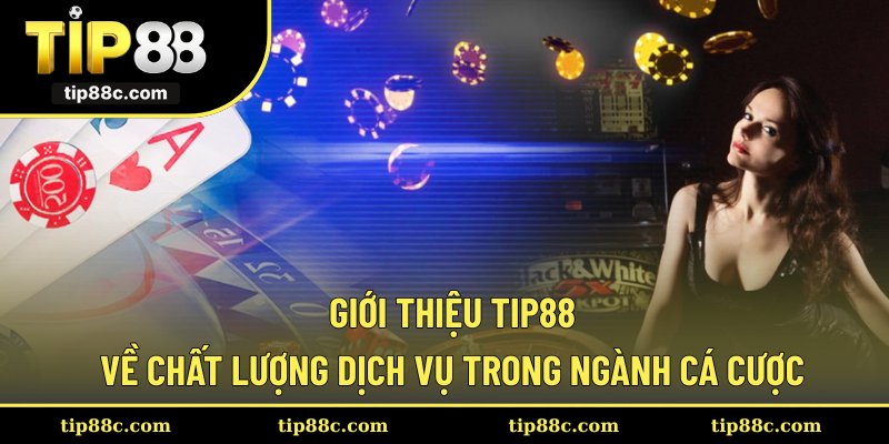 Giới thiệu Tip88 về chất lượng dịch vụ trong ngành cá cược