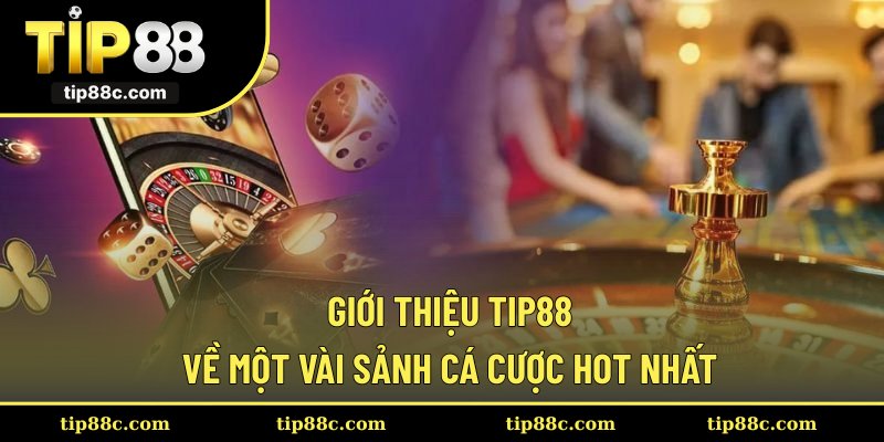 Giới thiệu Tip88 về một vài sảnh cá cược hot nhất