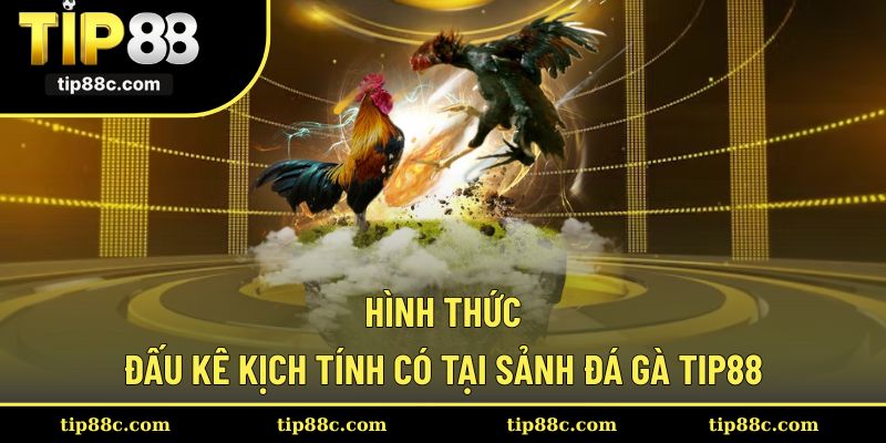 Những kiểu đá gà sôi động đang có mặt tại Tip88