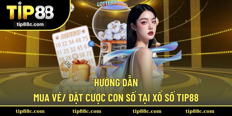 Cách mua vé và đặt cược con số trong sảnh xổ số Tip88