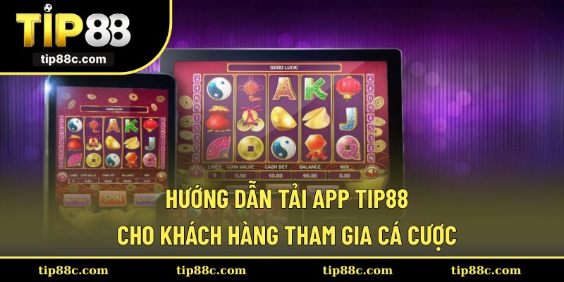 Hướng dẫn tải app Tip88 cho khách hàng tham gia cá cược