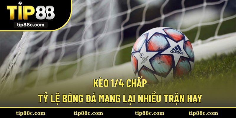 Kèo 1/4 Chấp - Tỷ Lệ Bóng Đá Mang Lại Nhiều Trận Hay