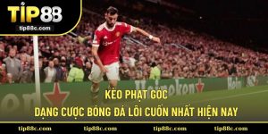 Kèo Phạt Góc - Dạng Cược Bóng Đá Lôi Cuốn Nhất Hiện Nay
