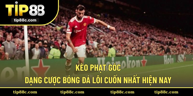 Kèo Phạt Góc - Dạng Cược Bóng Đá Lôi Cuốn Nhất Hiện Nay
