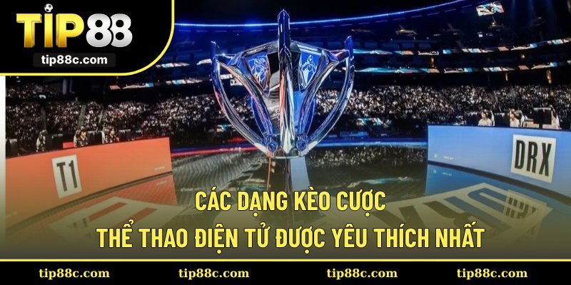 Các dạng kèo cược thể thao điện tử được yêu thích nhất