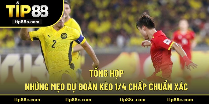 Tổng hợp những mẹo dự đoán kèo 1/4 chấp chuẩn xác