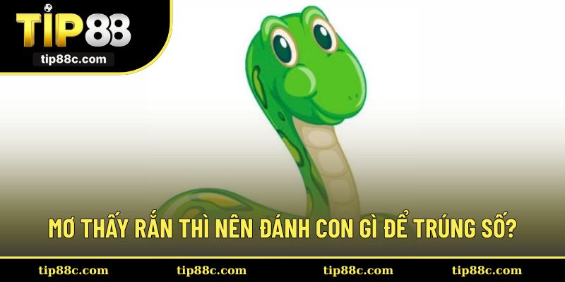 Mơ thấy rắn thì nên đánh con gì để có cơ hội trúng số?
