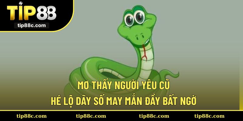 Mơ Thấy Rắn - Báo Hiệu May Mắn Hay Vận Rủi Đang Đến