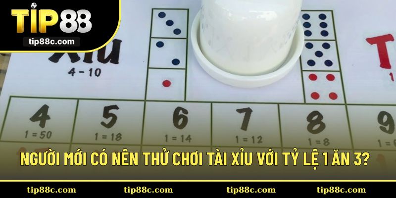 Người mới có nên thử chơi tài xỉu với tỷ lệ 1 ăn 3?