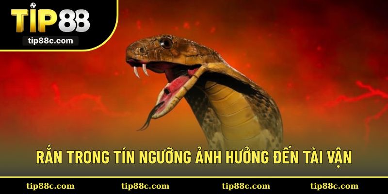 Rắn trong tín ngưỡng ảnh hưởng đến tài vận thế nào?