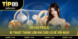 Soi Cầu Pascal – Bí Thuật Thắng Lớn Khi Chơi Lô Đề Mỗi Ngày