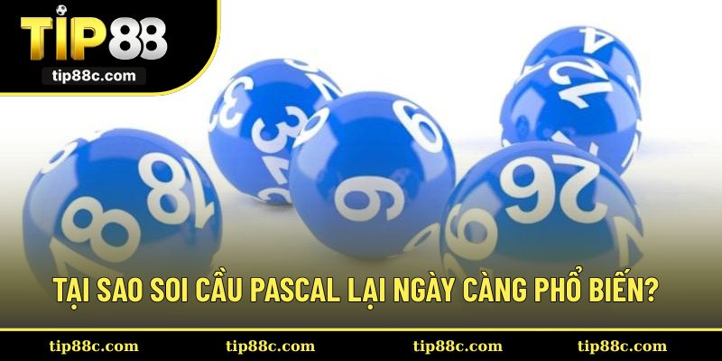 Tại sao phương pháp soi cầu Pascal lại ngày càng phổ biến?