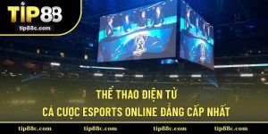 Thể Thao Điện Tử - Cá Cược Esports Online Đẳng Cấp Nhất