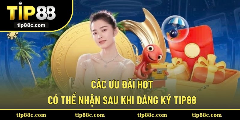 Các ưu đãi hot có thể nhận sau khi đăng ký Tip88