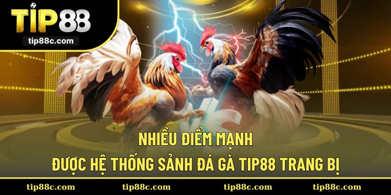 Sảnh đá gà Tip88 cùng loạt lợi thế vượt trội dành cho người chơi